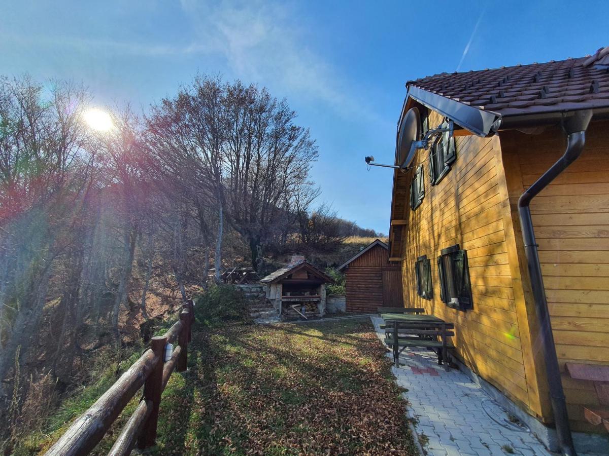 Vikendica Vila Despotovic Копаоник Экстерьер фото