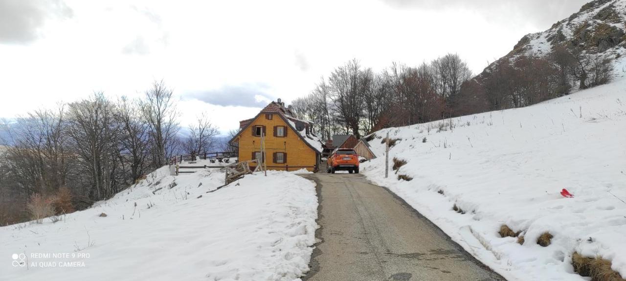 Vikendica Vila Despotovic Копаоник Экстерьер фото