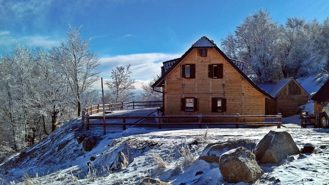 Vikendica Vila Despotovic Копаоник Экстерьер фото